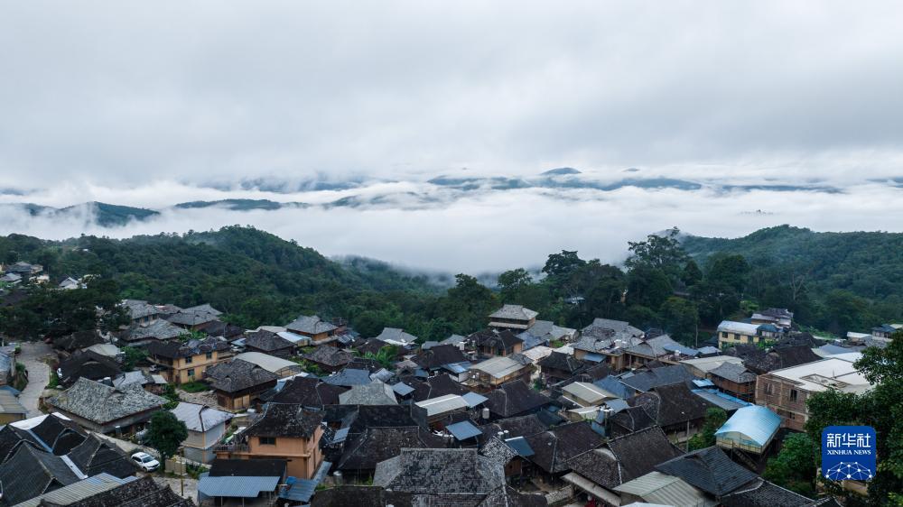 威尼斯7908.com